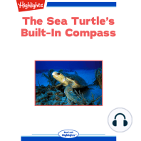 The Sea Turtle's Built-In Compass