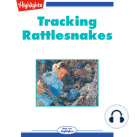 Tracking Rattlesnakes