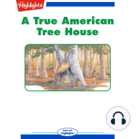 A True American Treehouse