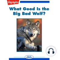 What Good Is the Big Bad Wolf?