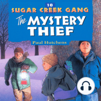 The Mystery Thief