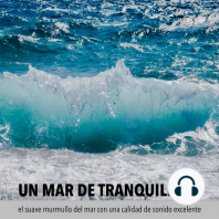 Un mar de tranquilidad