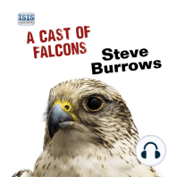 A Cast of Falcons