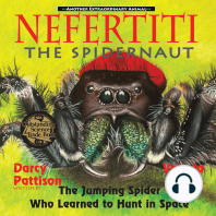 Nefertiti, the Spidernaut