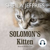 Solomon's Kitten