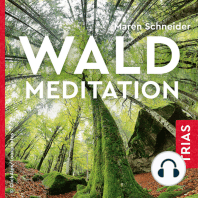 Waldmeditation