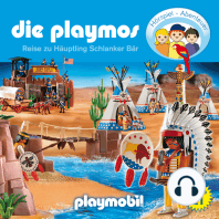 Die Playmos - Das Original Playmobil Hörspiel, Folge 21