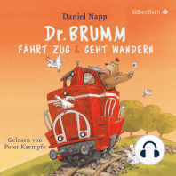 Dr. Brumm fährt Zug / Dr. Brumm geht wandern (Dr. Brumm)