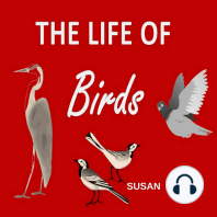 The Life of Birds