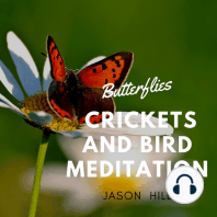 Butterflies Crickets and Birds Meditation