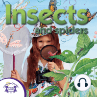 Insects & Spiders