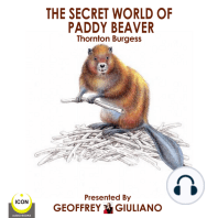 The Secret World Of Paddy Beaver