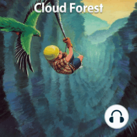 Cloud Forest