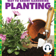 Planting