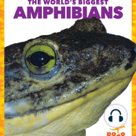 The World's Biggest Amphibians