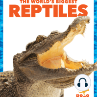 The World's Biggest Reptiles