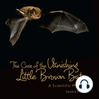 The Case of the Vanishing Little Brown Bats