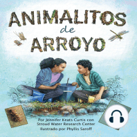 Animalitos de arroyo