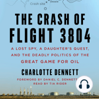 The Crash of Flight 3804