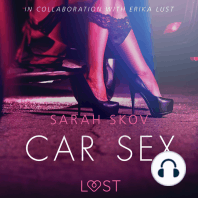 Car Sex - Sexy erotica