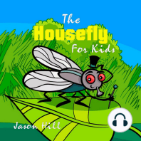 The Housefly for Kids