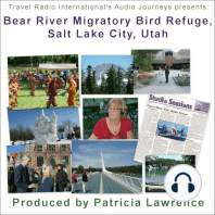 Bear River Migratory Bird Refuge, Salt Lake City Utah