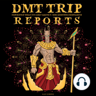DMT Trip Reports