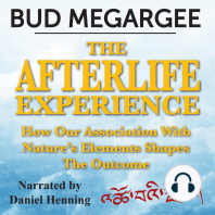 The Afterlife Experience - How Our Asociation With Nature's Elements Shapes the Outcome