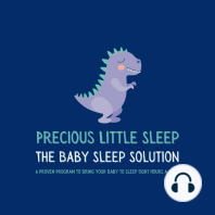 Precious Little Sleep - The Baby Sleep Solution
