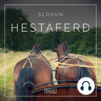 Slökun - Hestaferð