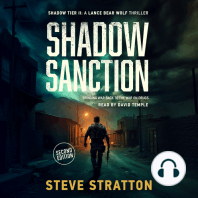 Shadow Sanction