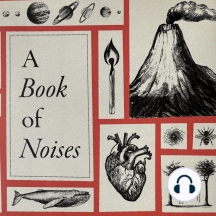A Book of Noises: Notes on Auraculous
