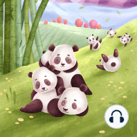 Panda Mimi's gratitude