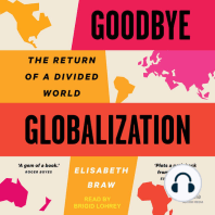 Goodbye Globalization: The Return of a Divided World