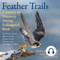 Feather Trails