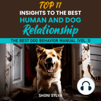 Top 11 Insights To The Best Human And Dog Relationship