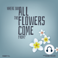 Where Did All The Flowers Come From?