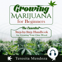 Growing Marijuana for Beginners