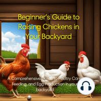 Beginner’s Guide to Raising Chickens in Your Backyard