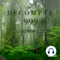 Décompte de 999-0