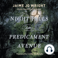 Night Falls on Predicament Avenue