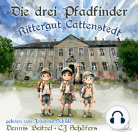 Die drei Pfadfinder