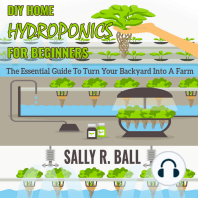 DIY Home Hydroponics For Beginners