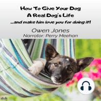How To Give Your Dog A Real Dog`s Life