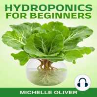 HYDROPONICS FOR BEGINNERS