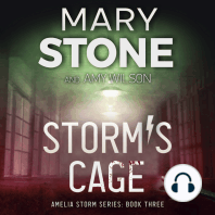 Storm's Cage