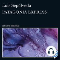 Patagonia Express