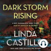 Dark Storm Rising