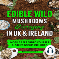 Edible Wild Mushrooms Foraging in UK & Ireland