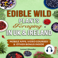 Edible Wild Plants Foraging in UK & Ireland